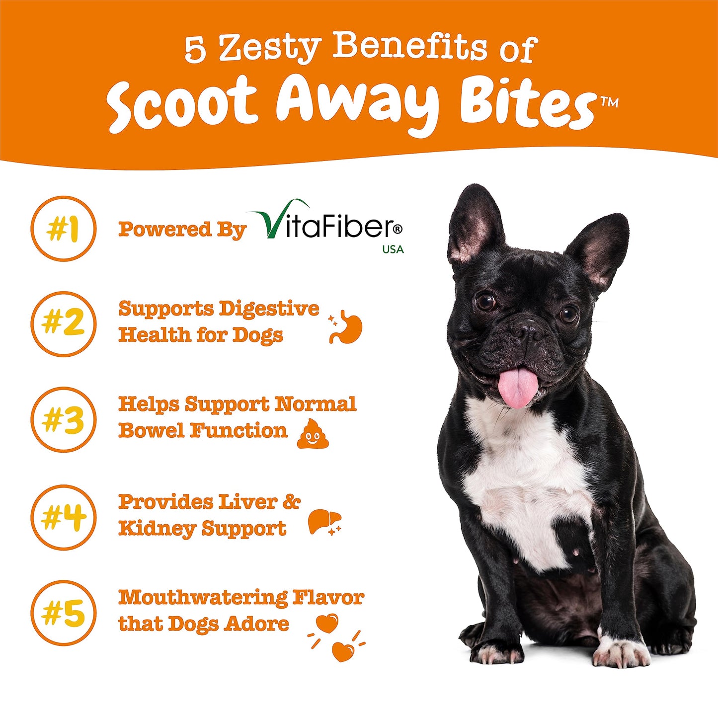 Zesty Paws Scoot Away Soft Chews - Healthy Bowel Function with Bromelain, Vita Fiber for Dogs, & Dandelion Root for Dog Digestive Support and Gut Health - 90 Soft Chews