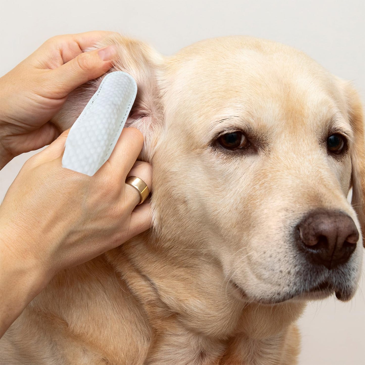 Paw Science Dog Ear Cleaner Wipes – Finger Wipes for Dogs – Cleaning, Soothing, and Deodorizing Itchy Ears – Pet Ear Relief Solution - Coconut Scent