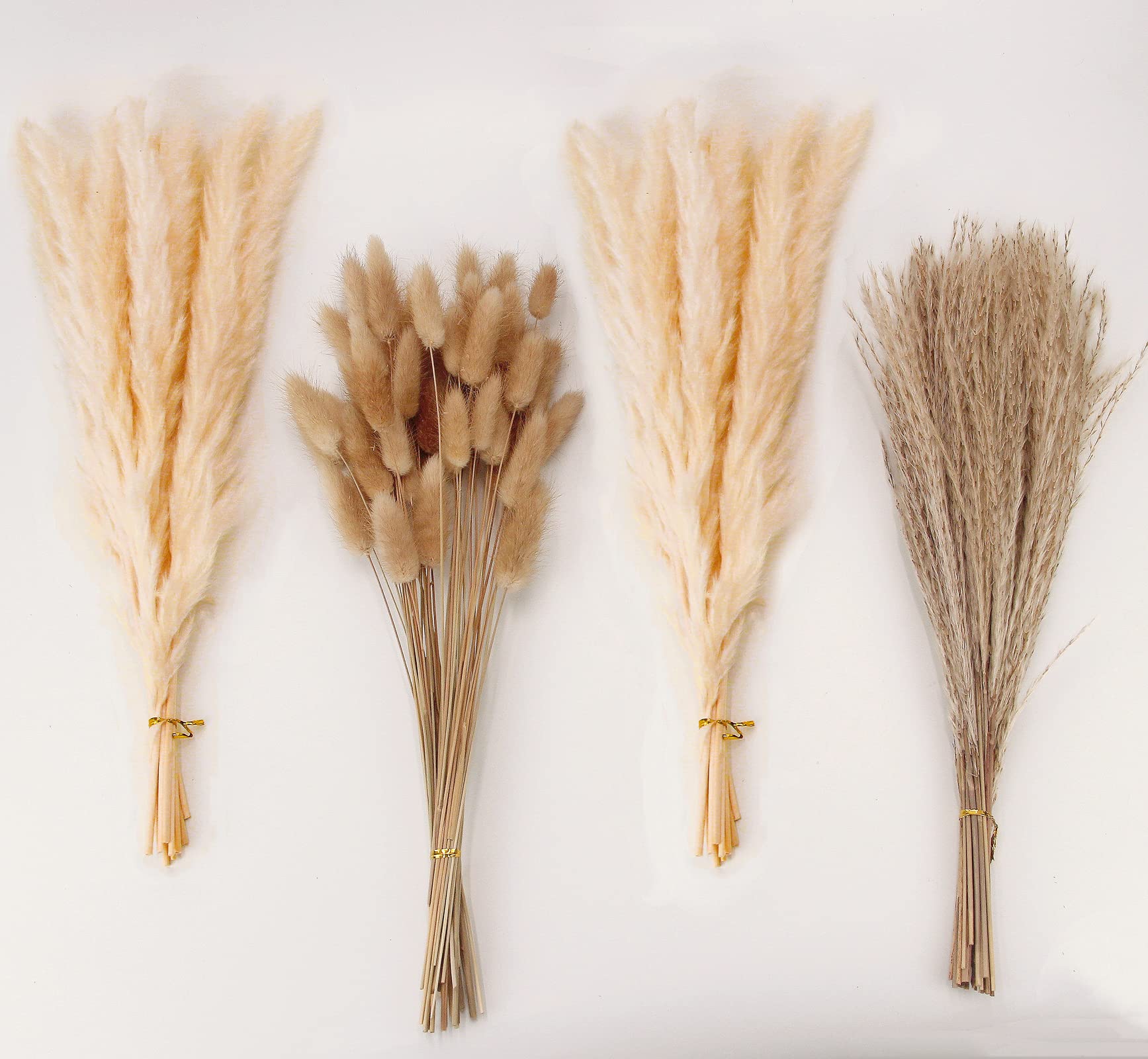 Dried Pampas Grass Decor, 100 Stems Pampas Grass Contains Bunny Tails Dried Flowers, Reed Grass Bouquet for Wedding Boho Flowers Home Table Decor, Rustic Farmhouse Party (17", White and Brown)