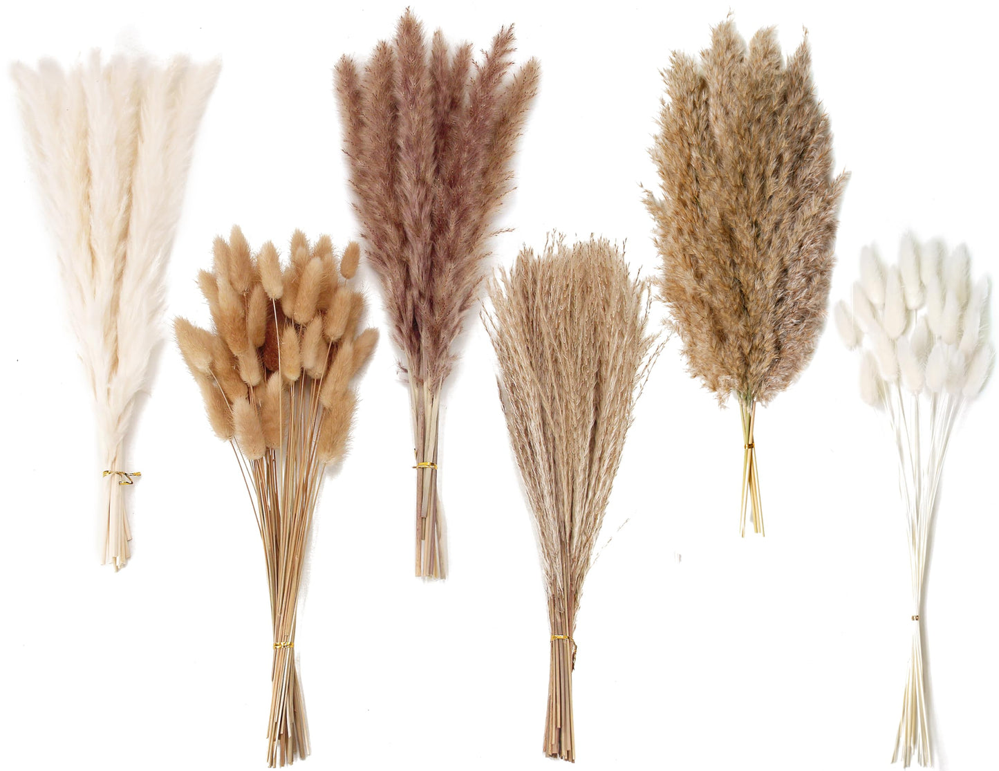 Dried Pampas Grass Decor, 100 Stems Pampas Grass Contains Bunny Tails Dried Flowers, Reed Grass Bouquet for Wedding Boho Flowers Home Table Decor, Rustic Farmhouse Party (17", White and Brown)