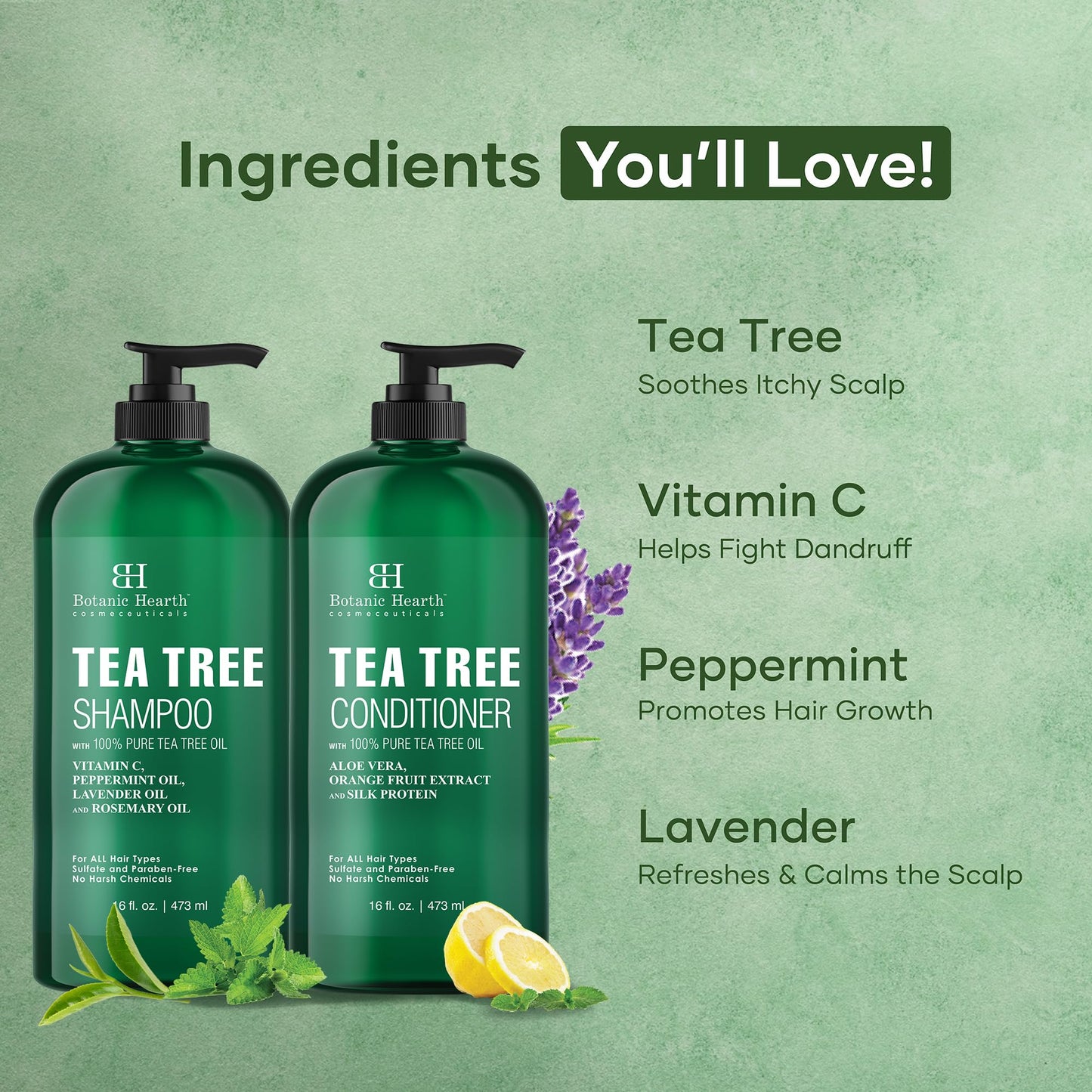 Botanic Hearth Tea Tree Shampoo And Conditioner Set | With 100% Pure Tea Tree Oil, For Itchy And Dry Scalp, Sulfate/Paraben Free | For Men And Women | 16 Fl Oz Each