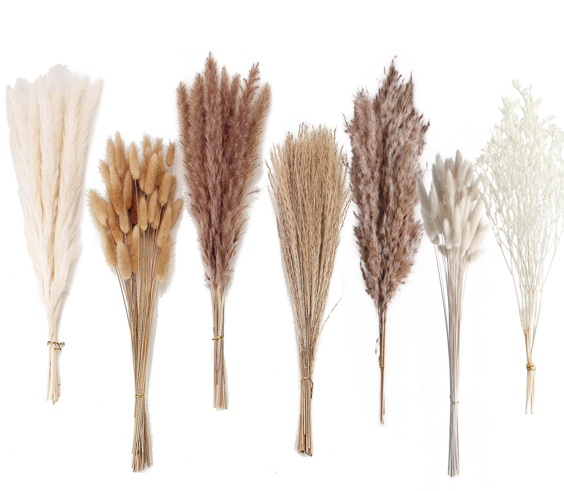 Dried Pampas Grass Decor, 100 Stems Pampas Grass Contains Bunny Tails Dried Flowers, Reed Grass Bouquet for Wedding Boho Flowers Home Table Decor, Rustic Farmhouse Party (17", White and Brown)