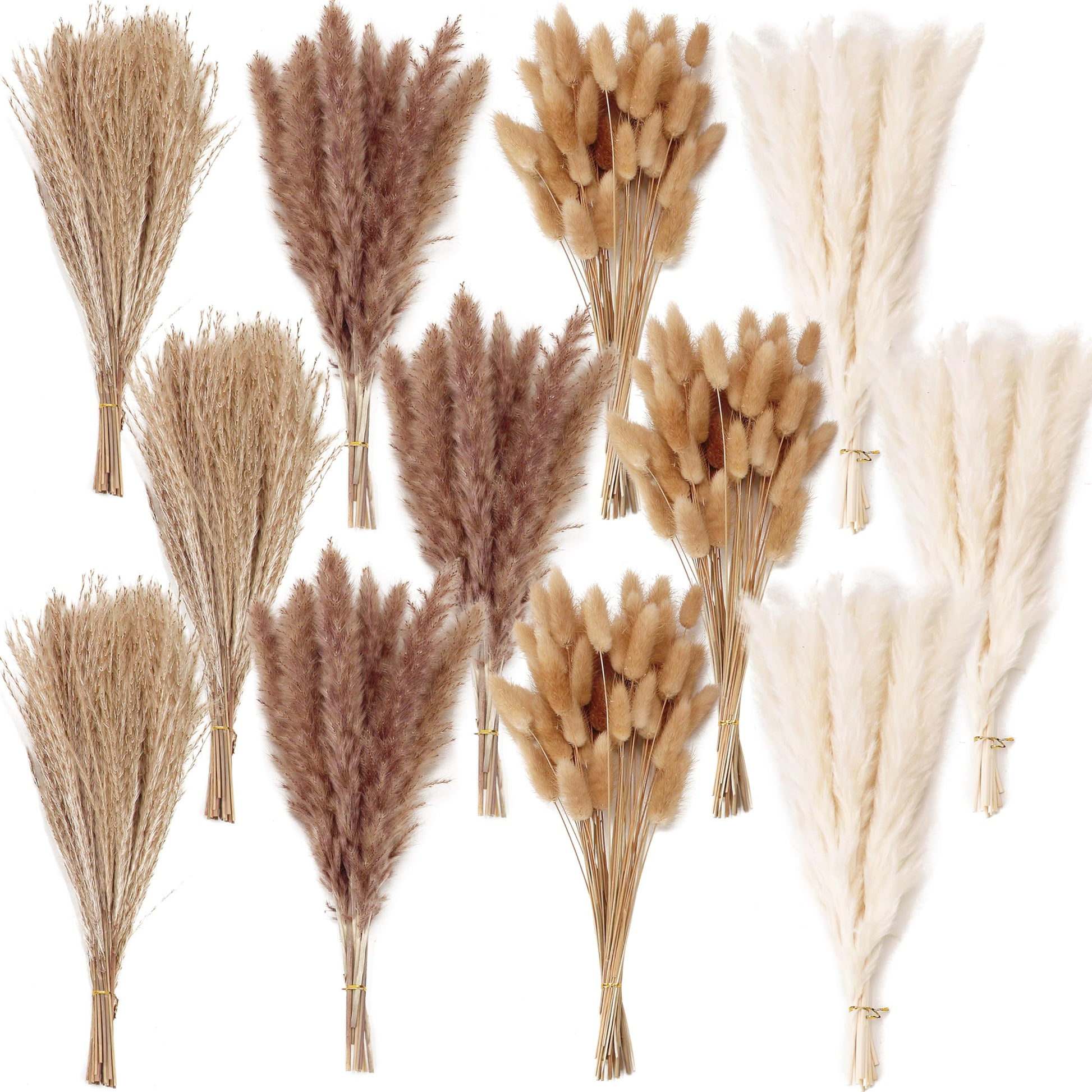 Dried Pampas Grass Decor, 100 Stems Pampas Grass Contains Bunny Tails Dried Flowers, Reed Grass Bouquet for Wedding Boho Flowers Home Table Decor, Rustic Farmhouse Party (17", White and Brown)